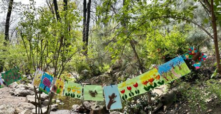 WhatsApp Image 2025-04-16 at 12.32.12